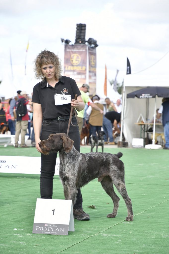 Maïko de la roche de quarnero