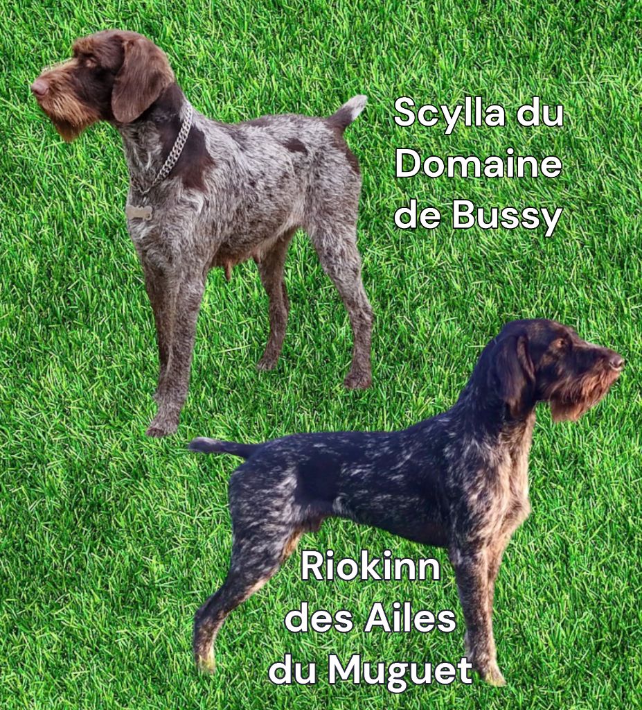 Portée 2024